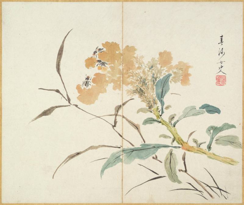 Album of 12 leaves depicting birds, fruits and flowers