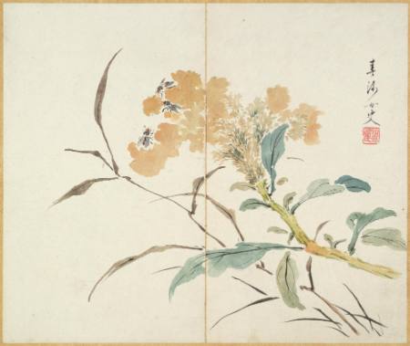 Album of 12 leaves depicting birds, fruits and flowers