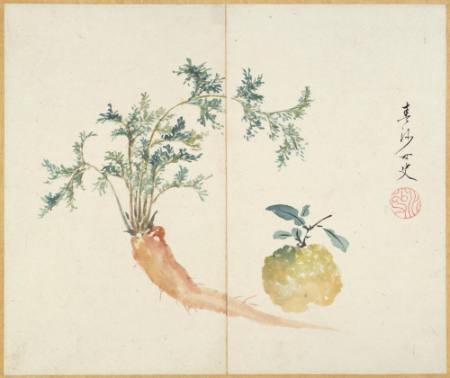 Album of 12 leaves depicting birds, fruits and flowers