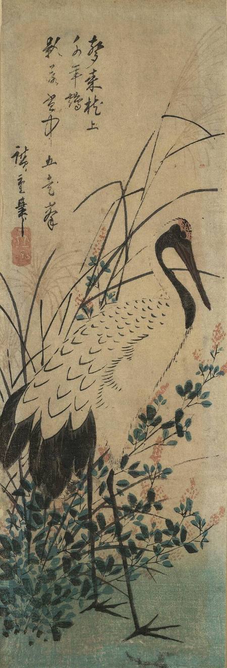Crane and Stork among Plants