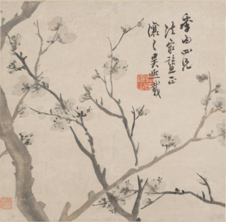 Plum Blossoms