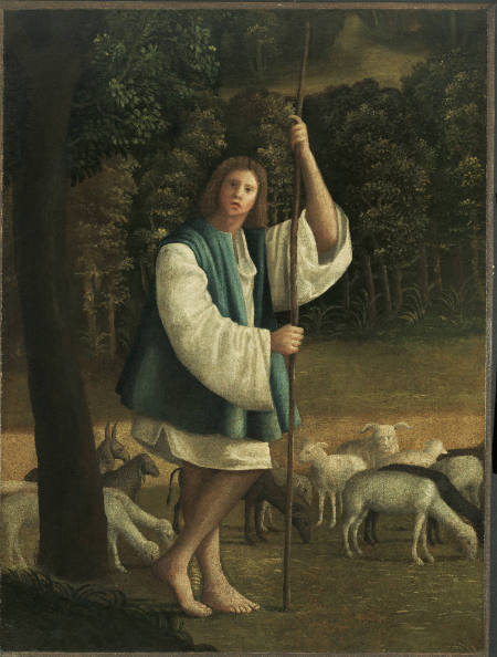 David as a Shepherd