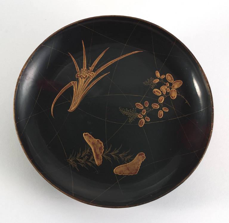 Dish