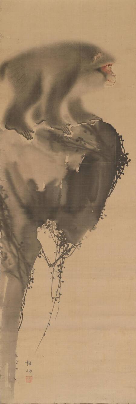 Monkey on a promontory