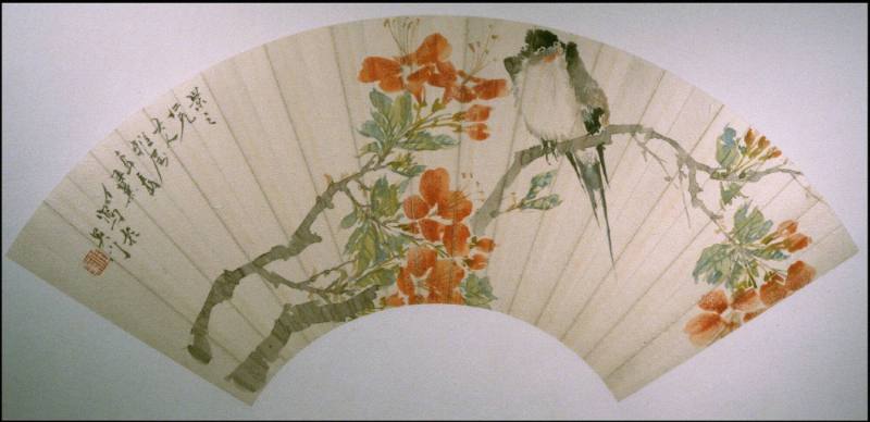 Swallow on a Hibiscus Branch
