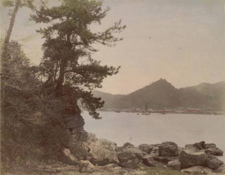 [Harbor]