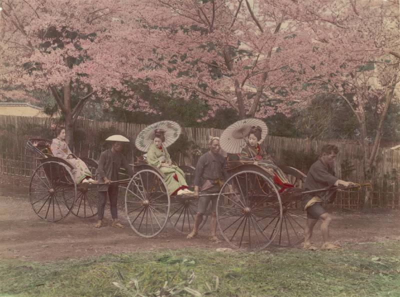 [Three jinrikisha drivers with women riding]