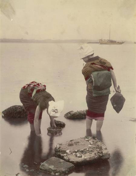 [Women finding shellfish]