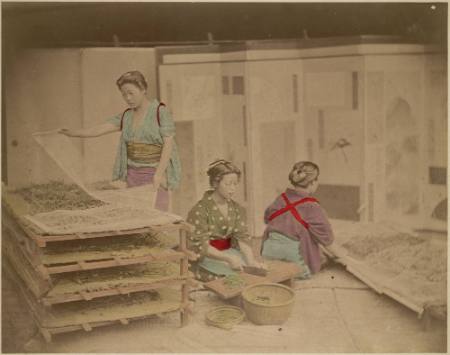 [Women feeding silk worms]