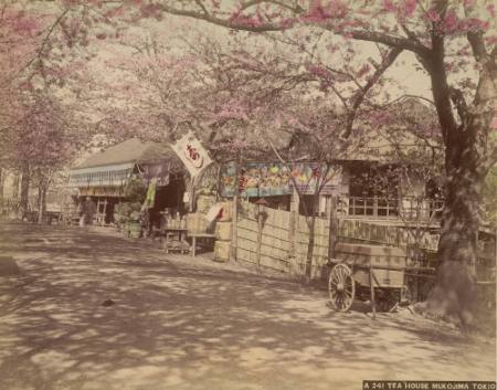 Tea House Mukojima Tokio