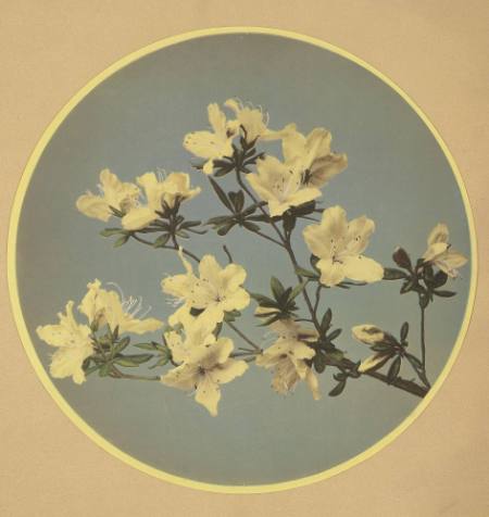 Kazumasa Ogawa