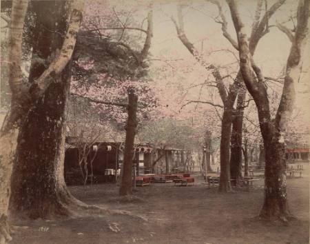 [A tea house in the park]