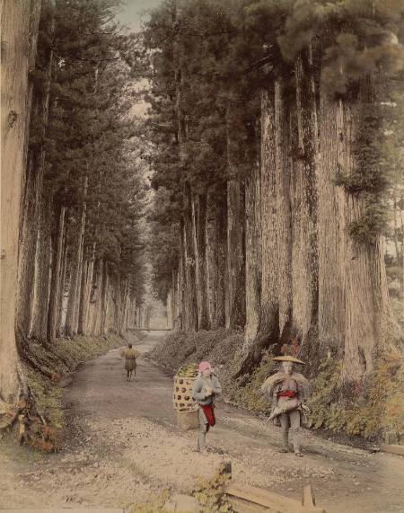 [Road to Imachi, Nikko]