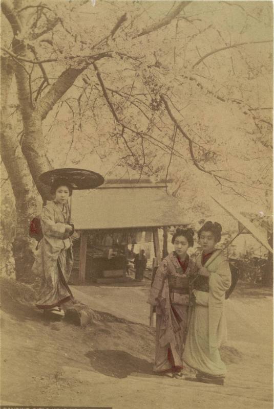 Dancing girls holding umbrellas