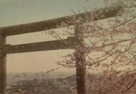 [Torii at Iseyama, Yokohama]