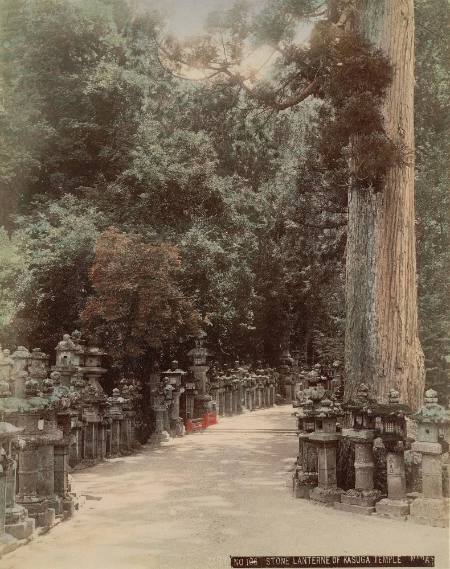 Stone lanterns of Kasuga Temple Nara