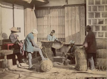 Farmers packing rice