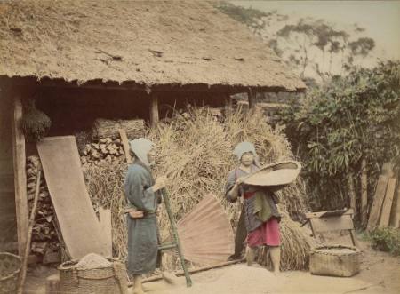 [Farmers carrying rice]