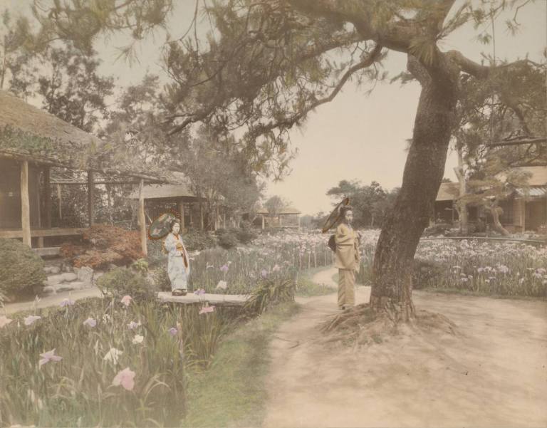 Girls in an iris garden