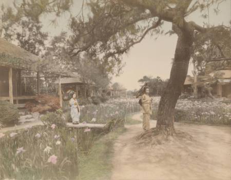 Girls in an iris garden