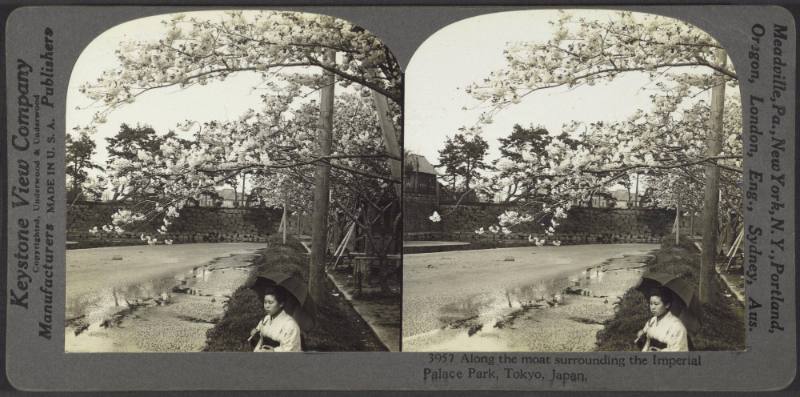 Along the moat surrounding the Imperial Palace Park, Tokyo, Japan