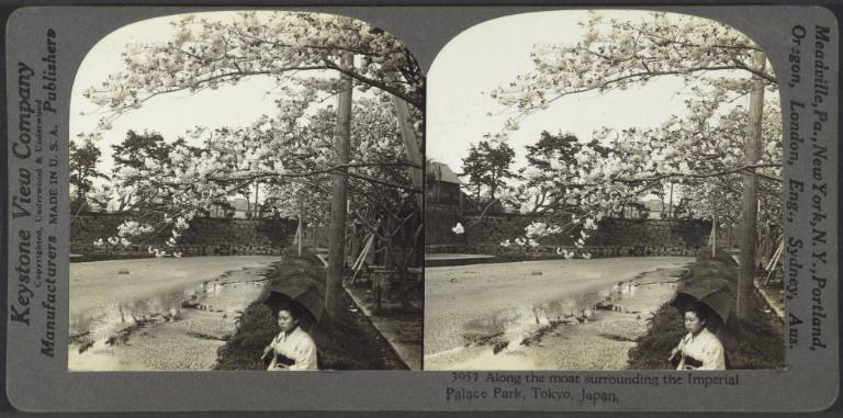Along the moat surrounding the Imperial Palace Park, Tokyo, Japan