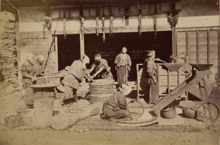 [Rice production]