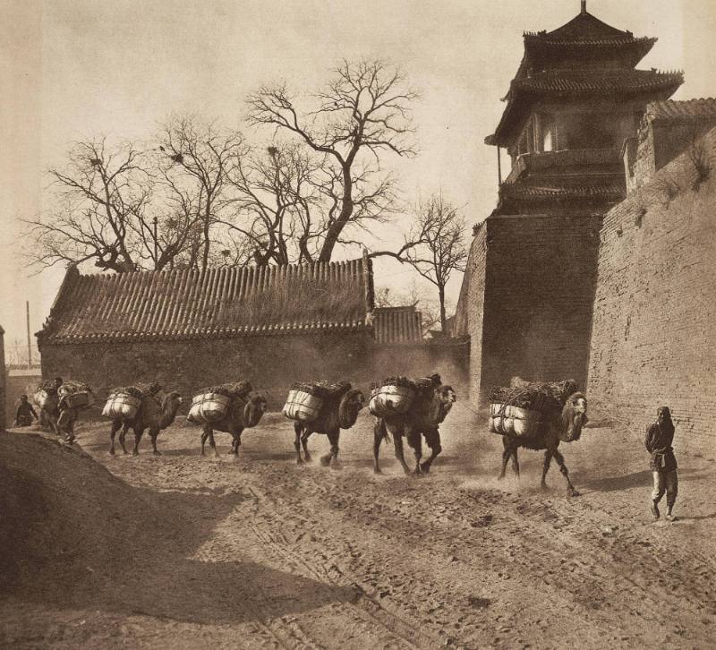 [The end of the road, camels, Peking]