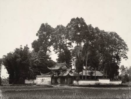 [Temple with bamboo and mu trees (Machilus Bournei) Kuan Hsien]