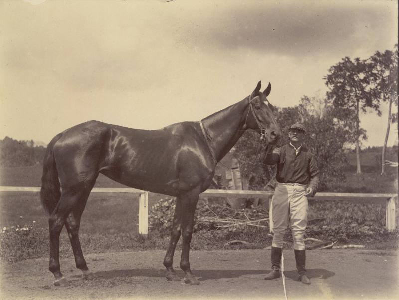 Hasib, winner of Singapore Derby