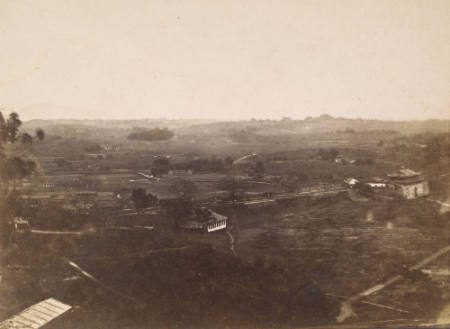 [Landscape with buildings and grove of trees]