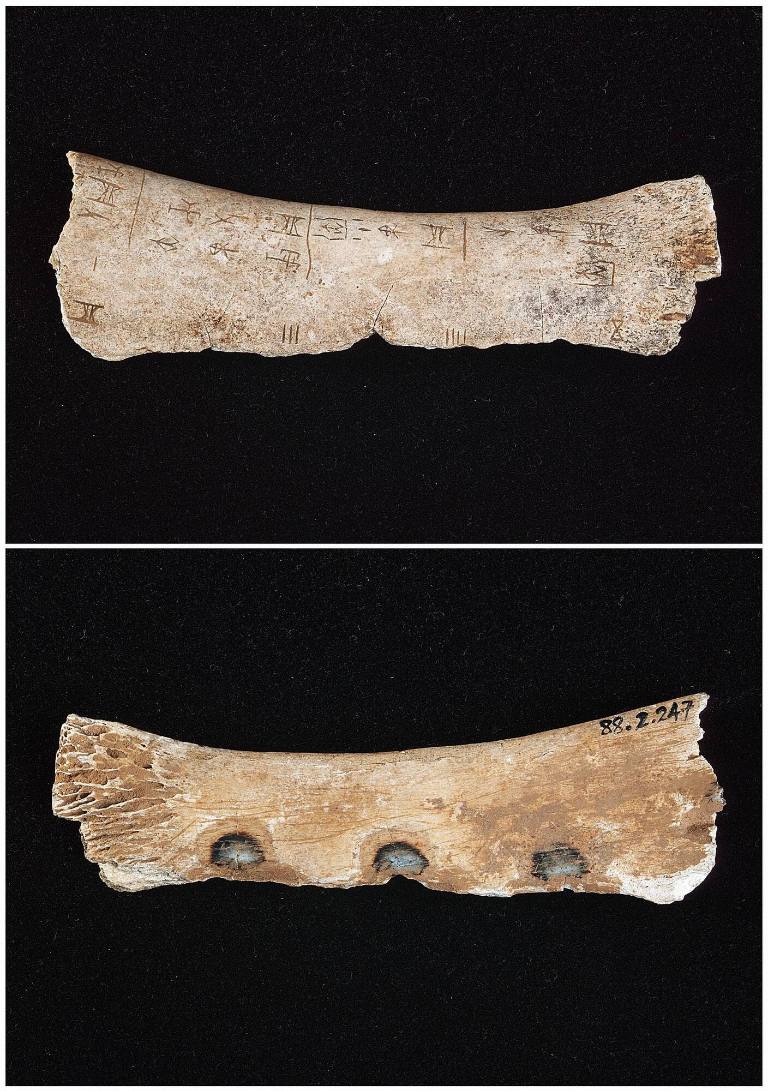 Oracle bone with inscription