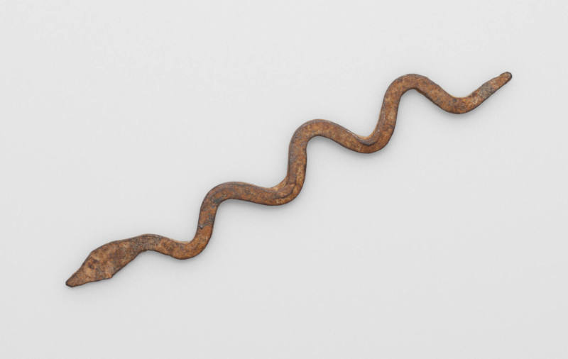 Snake