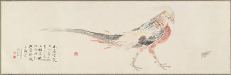 Chinese Pheasant (Kinkeicho) and Grasshopper