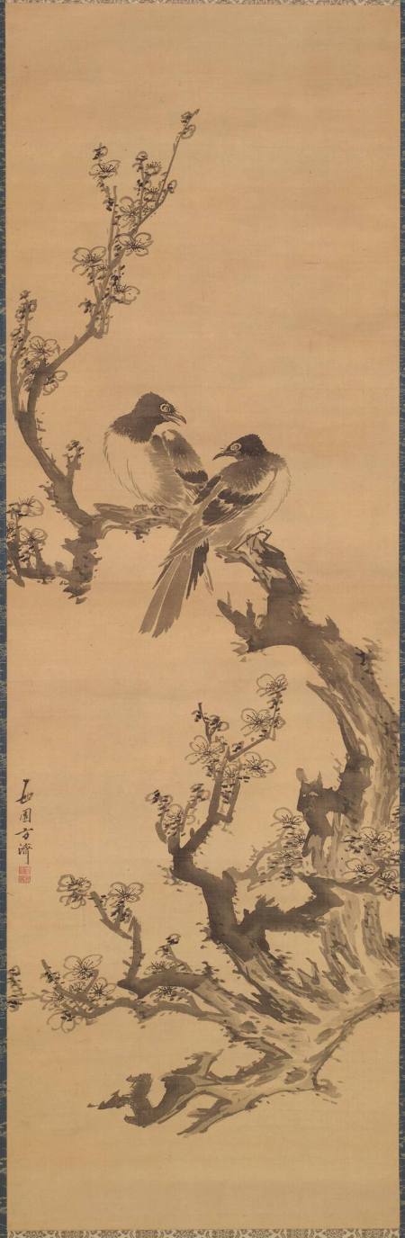 Birds on Flowering Plum