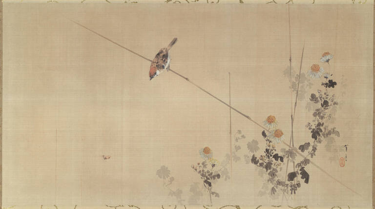 Sparrow and Chrysanthemums