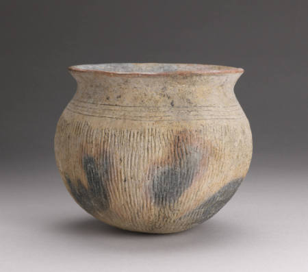 Pot