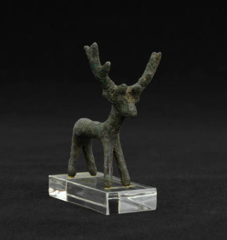 Stag