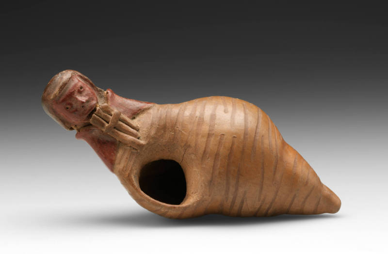 Panpipe player caracol