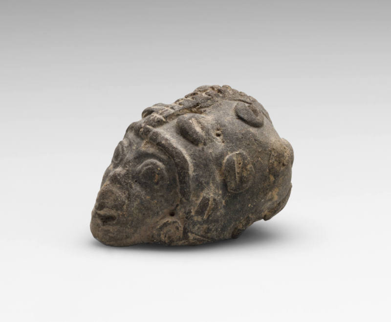 Fragment of a head