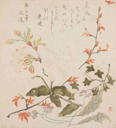 Hisamichi (?)