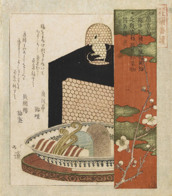 Plum of Nanjing, from the series Hanazono Bantsuzuki (A Series for the Hanazono Club)