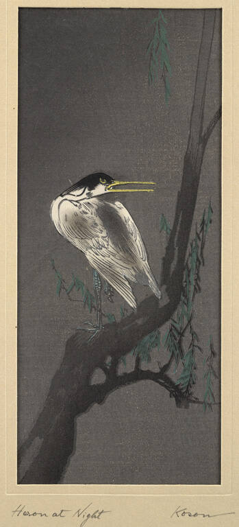 Heron at Night