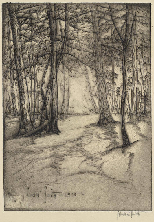 Winter Woods, Connecticut