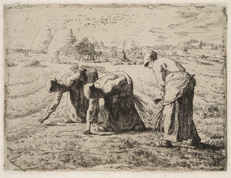 The Gleaners