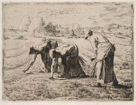 The Gleaners