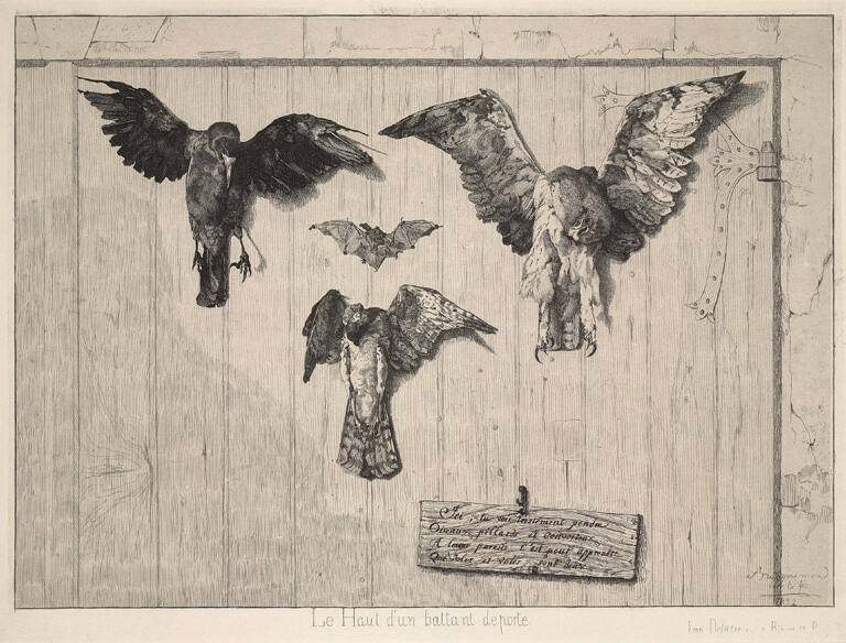 Le Haut d'un Battant de Porte (The Top of the Door)