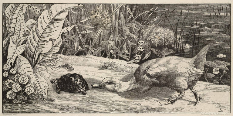 L'Inconnu (the Unknown)