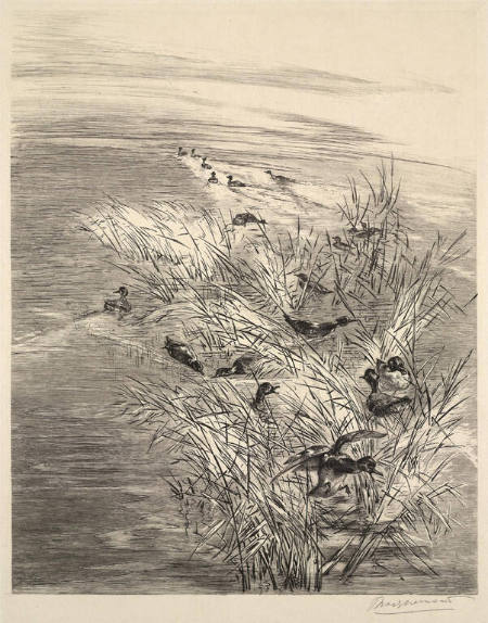 Roseaux et Sarcelles (Reeds and Teal)
