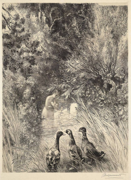Canards Supris
